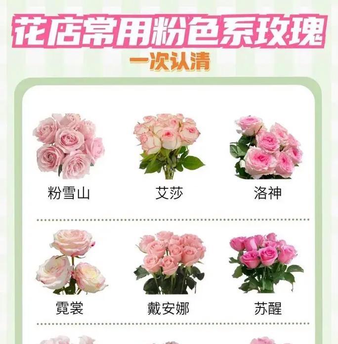 玫瑰花搭配其他花的含义是什么？