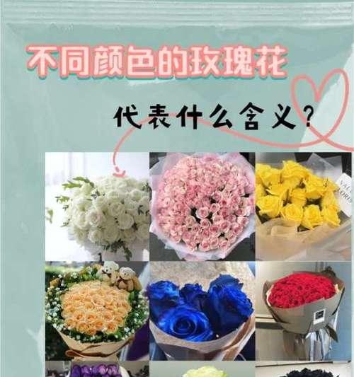 玫瑰花搭配其他花的含义是什么？