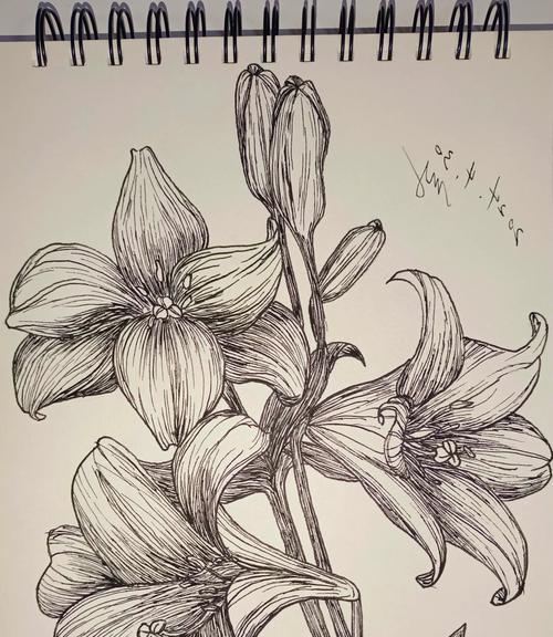 绿草中的百合花语是什么？它象征着什么？