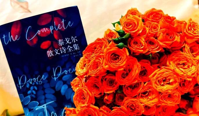 橙芭比花的花语是什么？它在花语中有哪些特别之处？