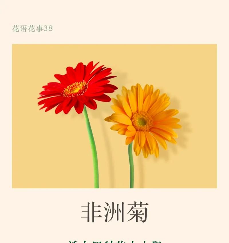 路明非的花语是什么？它有何特殊含义？