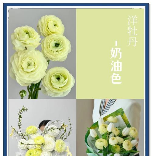 高颜值情侣花语有何深意？如何增进感情？