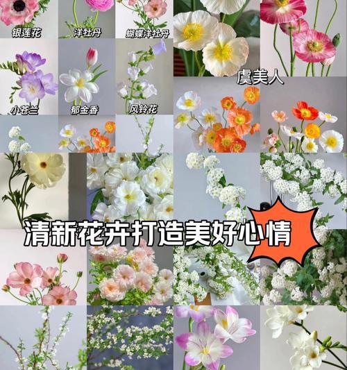 高颜值情侣花语有何深意？如何增进感情？