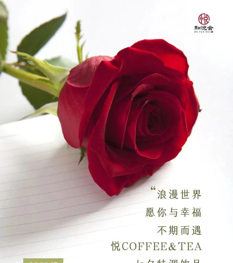 捡玫瑰花有什么特别含义？