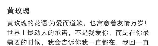 友情长久的花语有哪些？