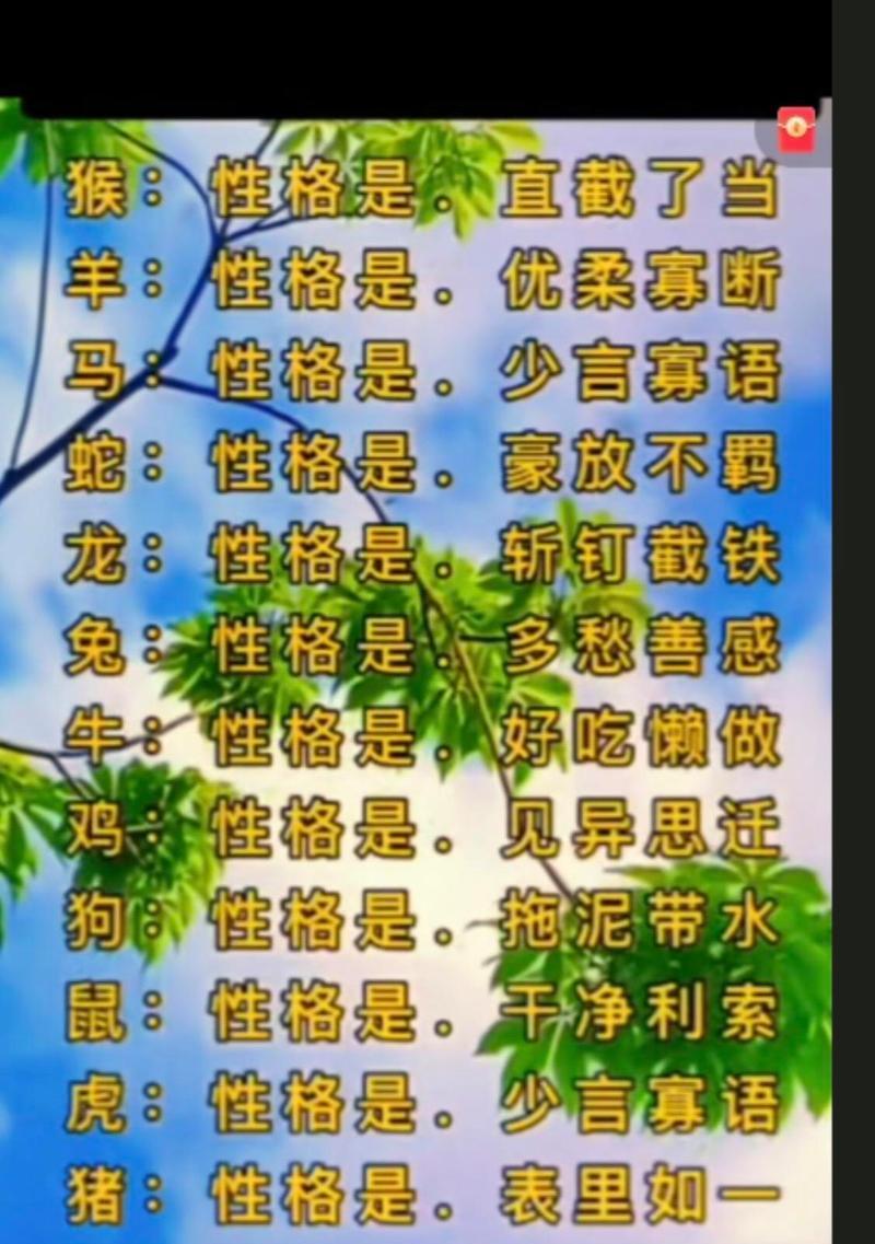 热烈坚韧的花语适合哪个生肖？