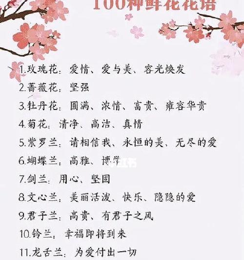 哪种花的花语最令人惊艳？