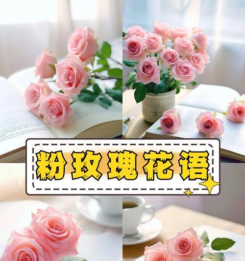 初念的花语有哪些？它们各自代表了什么？