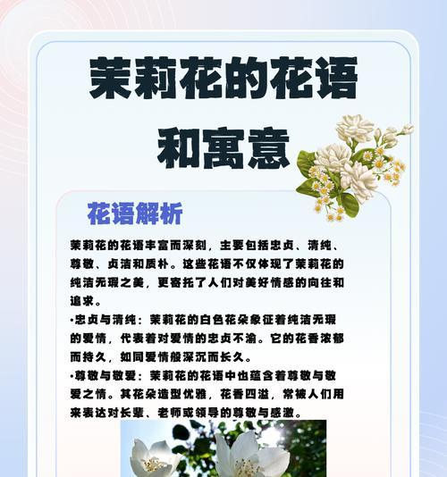 什么花在冬天的花语很美？哪种冬季花卉寓意深刻？