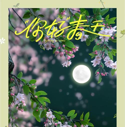 什么花在冬天的花语很美？哪种冬季花卉寓意深刻？
