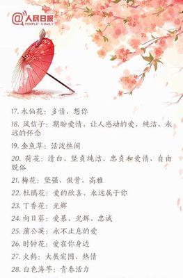 青花的花名是什么？它的花语和寓意是什么？