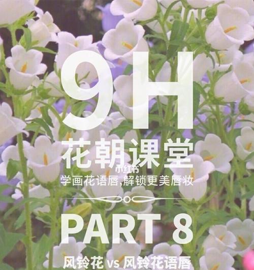 赞美邻家的花语有何特别含义？