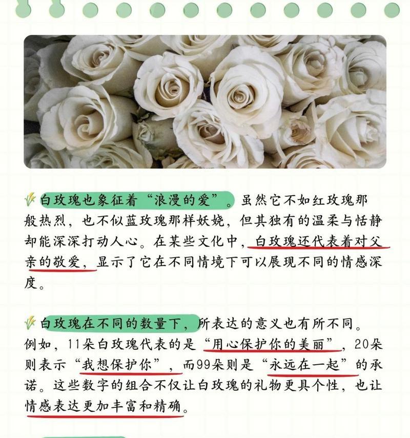 玫瑰花表达倾心的花语是什么？