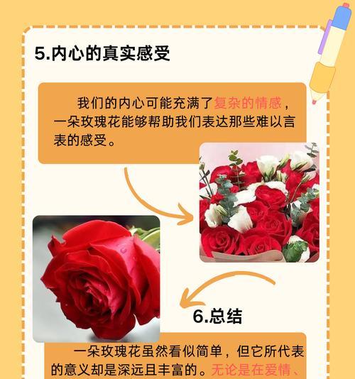 21朵玫瑰代表什么花语和寓意？21朵玫瑰的含义是什么？