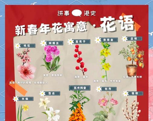 道具高兴时应该选择哪种花语？