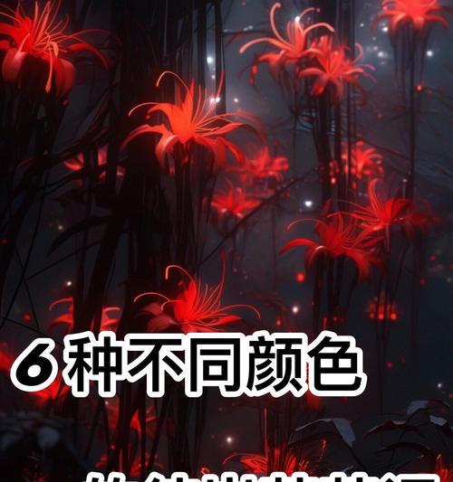 道具高兴时应该选择哪种花语？