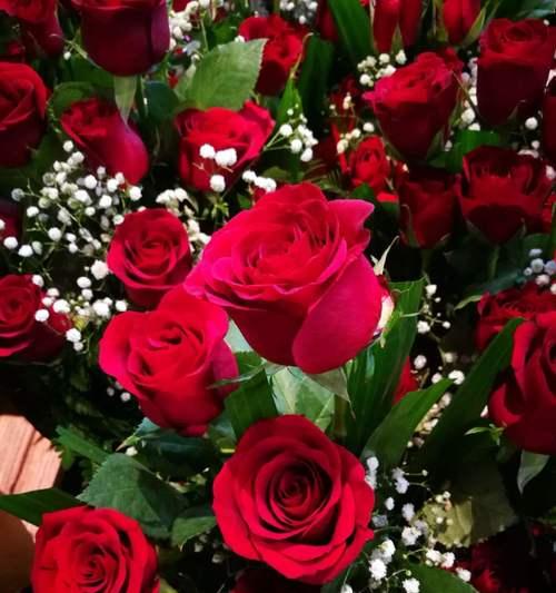 菲仔送的花代表什么意义？花语有哪些？