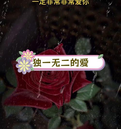 史上最温柔的玫瑰花语是什么？它如何成为爱的象征？