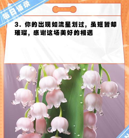 哪种花的花语象征短暂的离别？