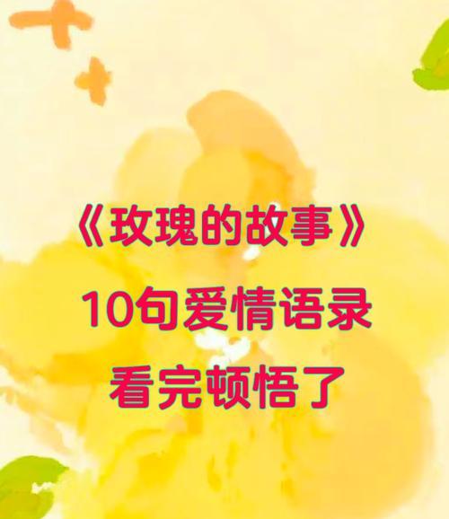 超级情调玫瑰传递了怎样的情感？