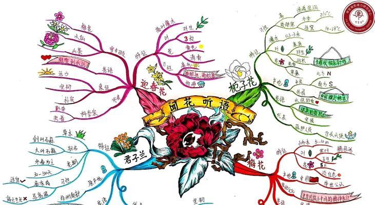 花语在哪些场景下使用？如何正确使用花语？