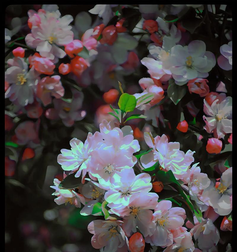 花语未眠的意思和含义是什么？它代表了什么？