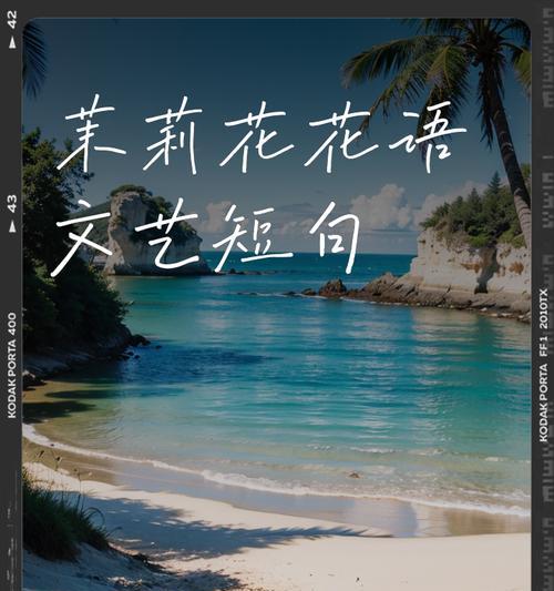 野生茉莉花语有何寓意？