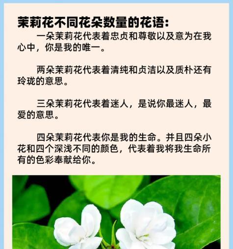 野生茉莉花语有何寓意？