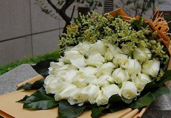 适合搭配白玫瑰的花语是什么？白玫瑰与其他花搭配的花语是？