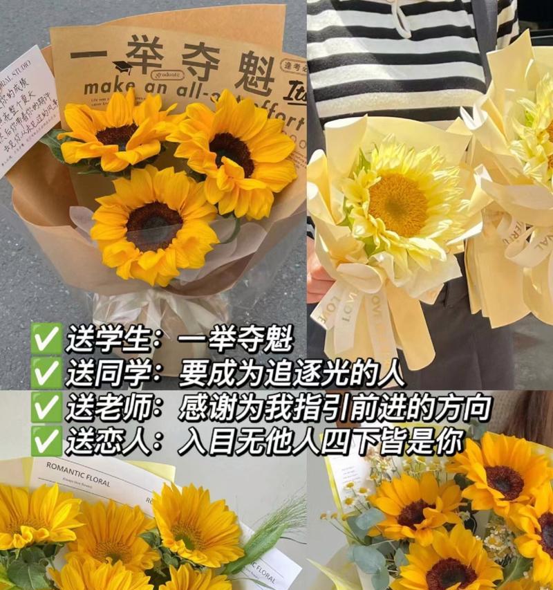 向日葵在朋友间代表什么？它的花语有何深意？