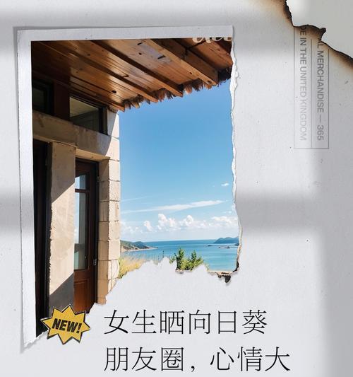 向日葵在朋友间代表什么？它的花语有何深意？