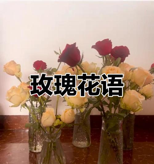 十朵玫瑰花传递了哪些情感？