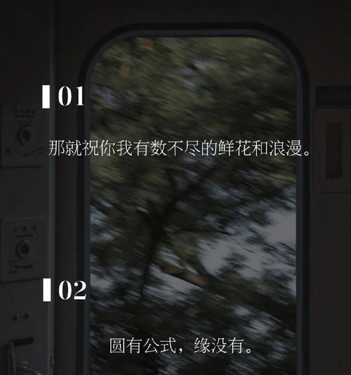 极简浪漫的花语有何含义？极简浪漫代表什么？