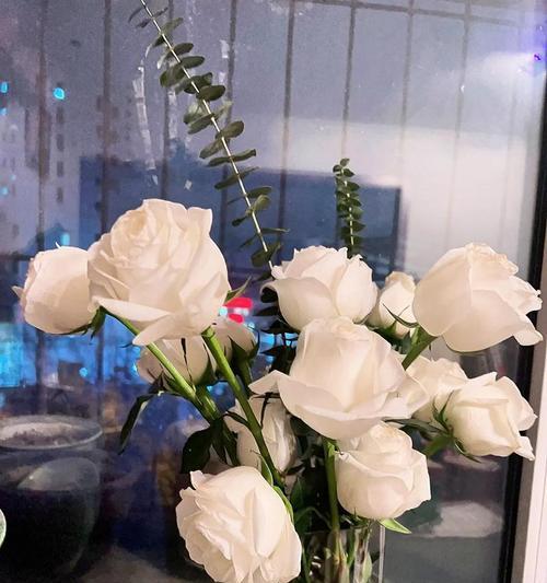 11朵白玫瑰的花语寓意是什么？