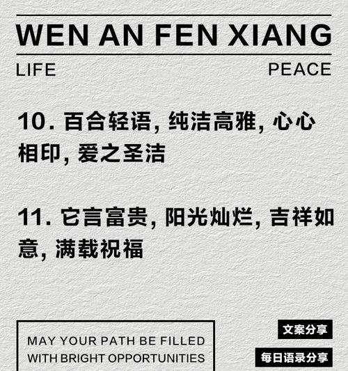 表达关心关爱的花语有哪些？