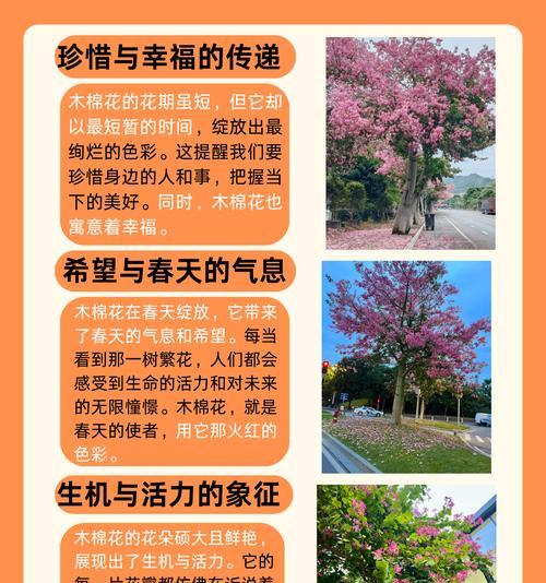 树的花语代表什么？如何理解树的花语？