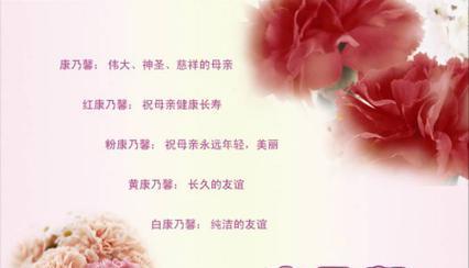 60朵康乃馨的花语代表什么？