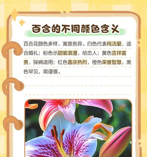 道具百合花语有何深意？它象征着什么？