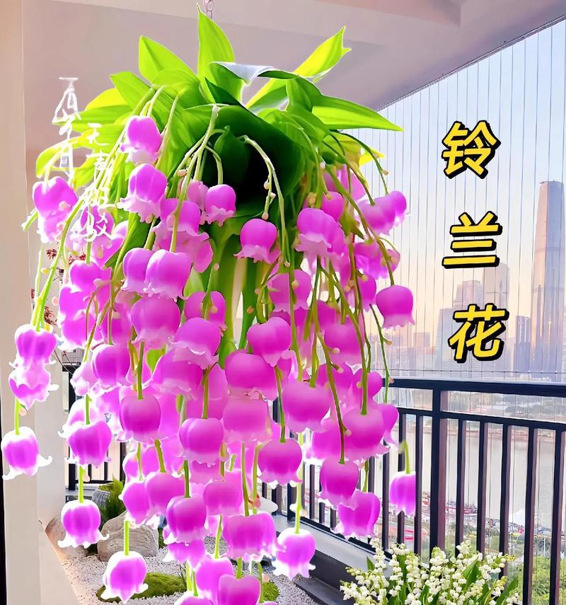 紫铃铛花语有何寓意？紫铃铛代表什么？