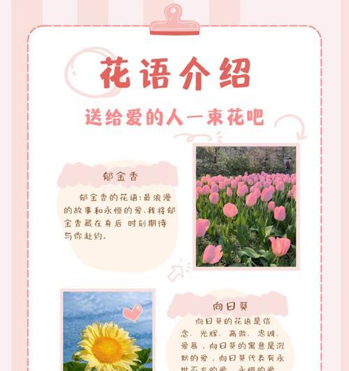 有关真诚的花语是什么呢？哪种花象征真诚的心？