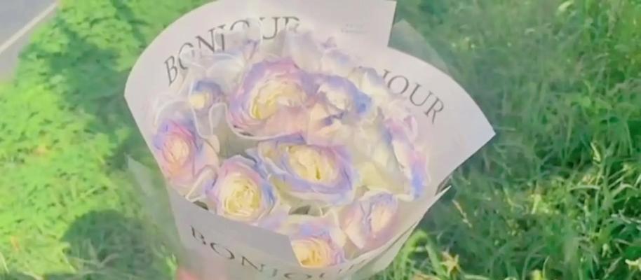 零钱背后的花语有何特殊含义？
