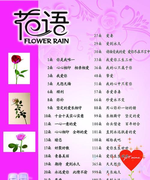 托育的花语表达了哪些情感？