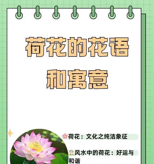 网络用语中的气场花语是什么？