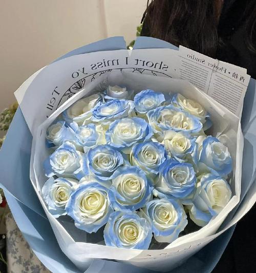 十三束碎冰蓝玫瑰花语是什么？碎冰蓝玫瑰代表了什么情感？