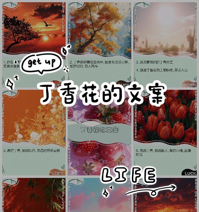 丁香花花语是什么？丁香花在花语中象征着什么？