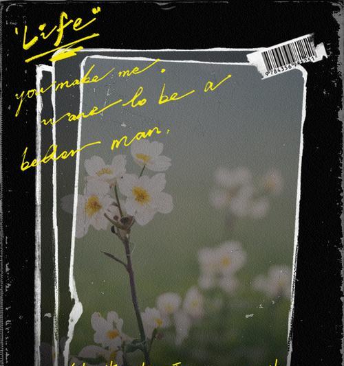 重逢时送什么花最合适？花语中有哪些表达重逢的含义？