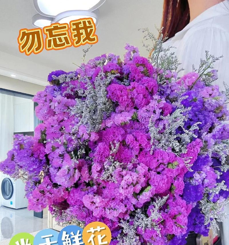 做干花的花语有何特别之处？干花的花语是什么？