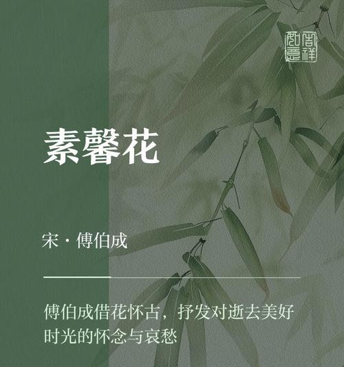 素馨花语代表了什么？素馨花的象征意义有哪些？