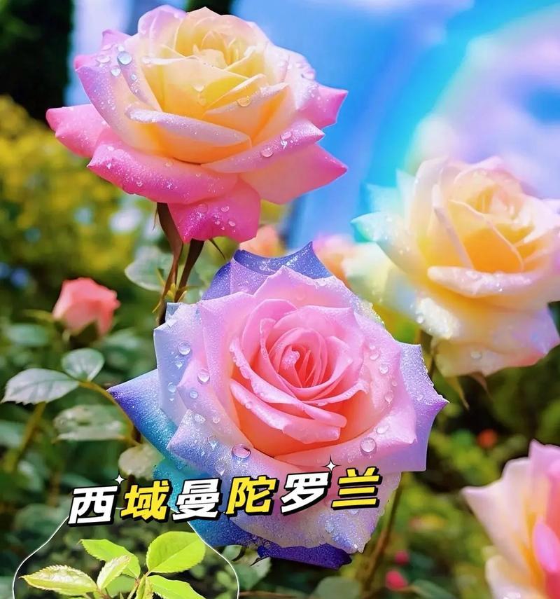 曼陀罗花语代表什么？送这种花有何深层含义？