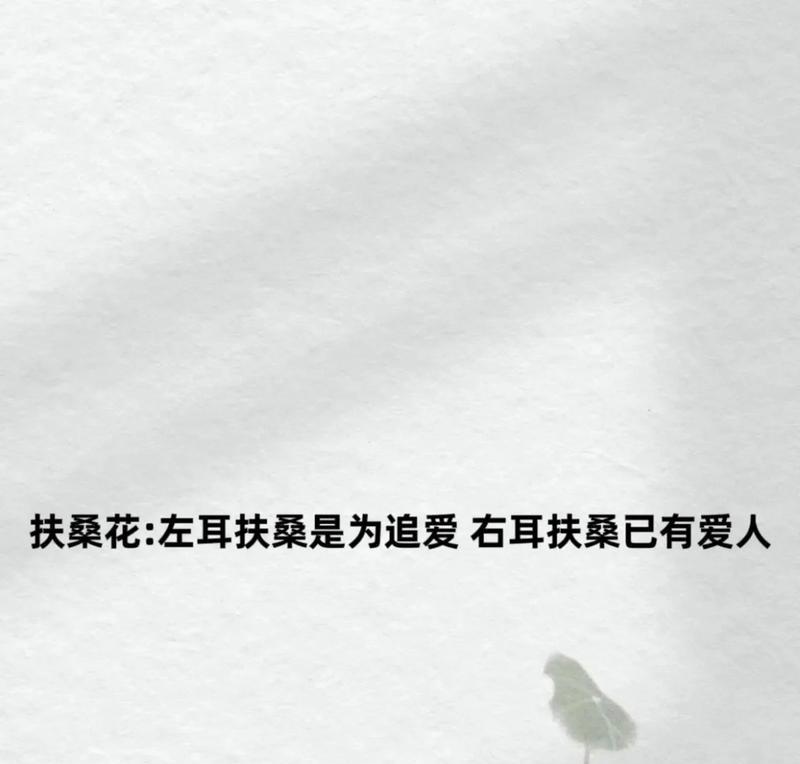 哪种花的花语代表强者之上？这种花语有何特别之处？